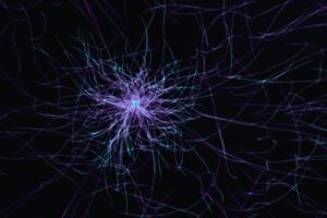 Photo Neuroscience